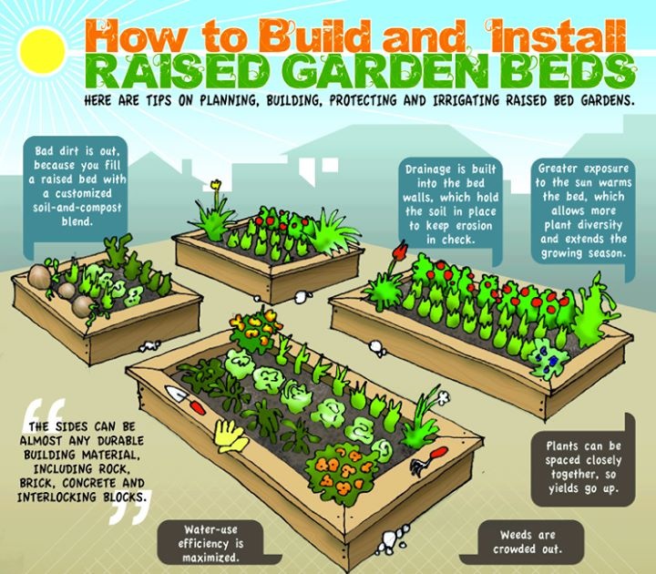 Build A Raised Garden Bed